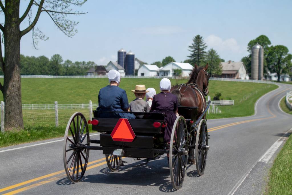 Amish etats unis : pratiques, histoire et enjeux d’une communauté religieuse